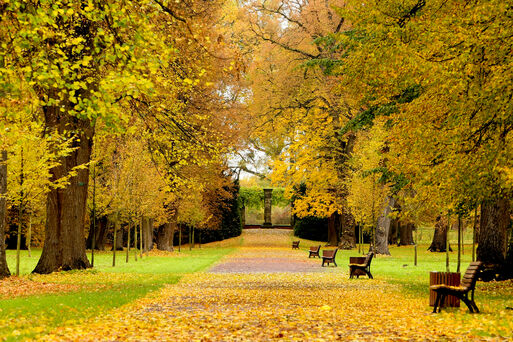 Herrenkrug_Magdeburg_0554©www.AndreasLander.de, keine Weitergabe an Dritte)